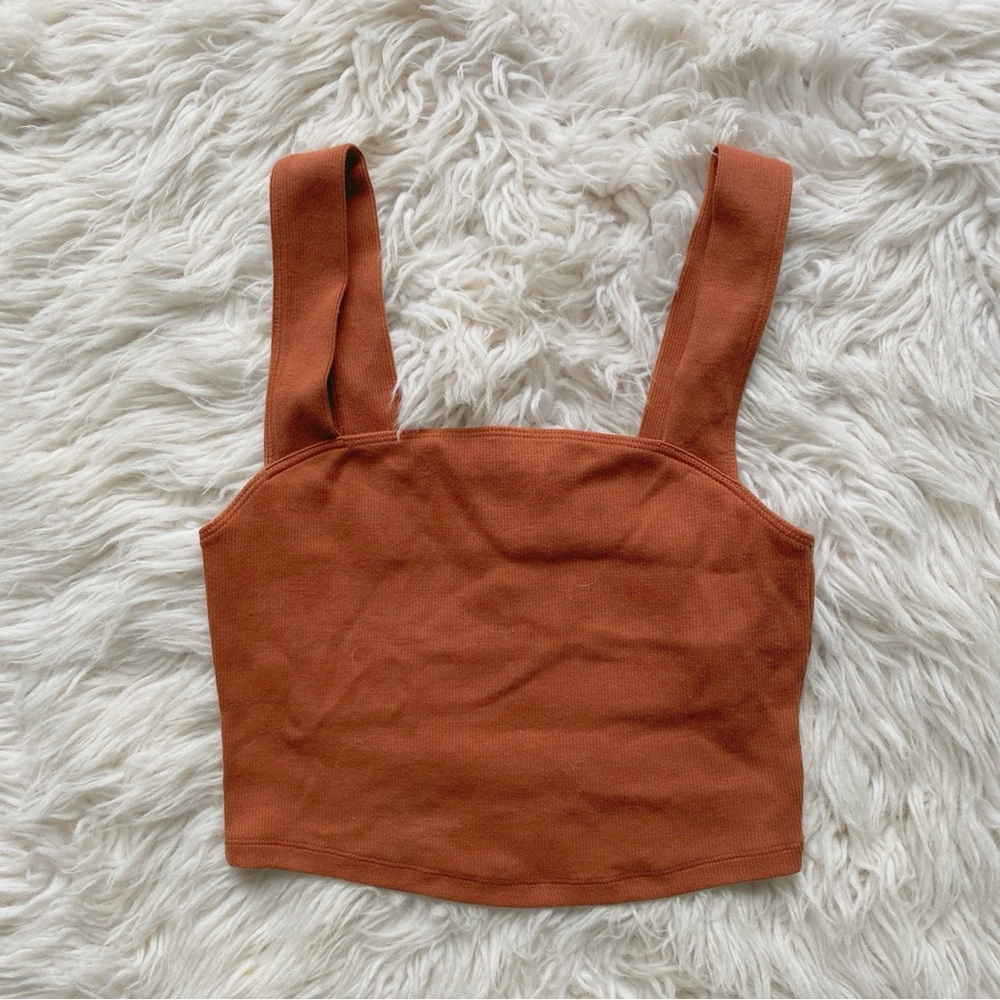 Abercrombie & Fitch Rust Crop Top